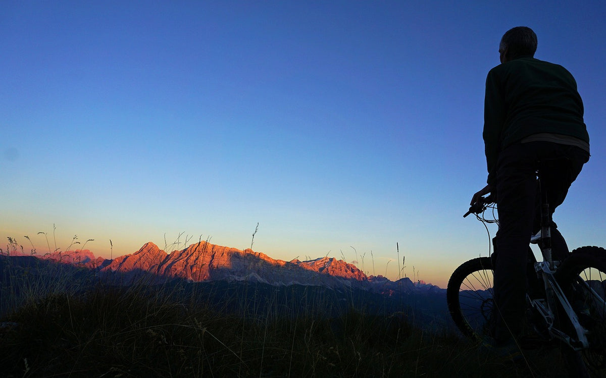 electric bike just eat
